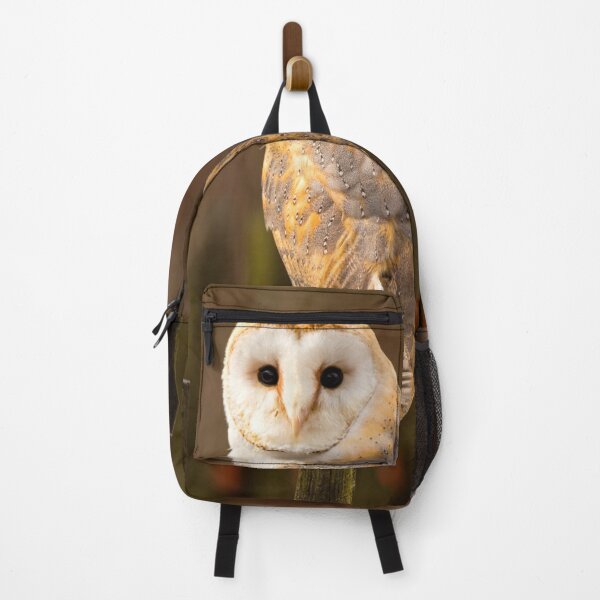 Item preview, Barn Owl designed and sold by Dave Hare Photography.