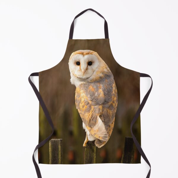 Item preview, Barn Owl designed and sold by Dave Hare Photography.