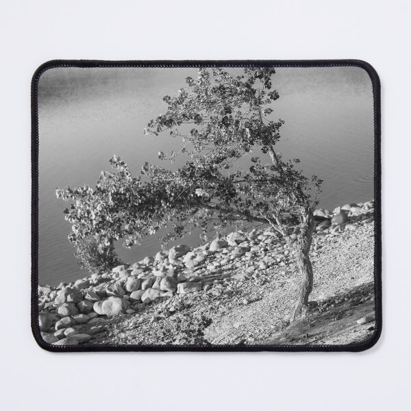 Item preview, El árbol en las rocas designed and sold by joneagoitz.