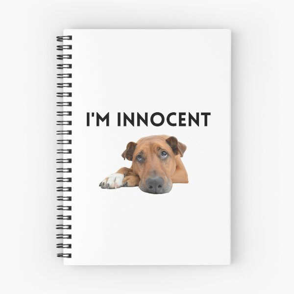 Item preview, I'm Innocent Dog meme designed and sold by Roy Store.