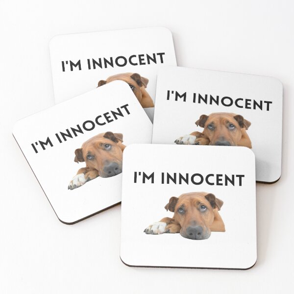 Aperçu de l'œuvre Je suis un chien innocent meme créée et vendue par Roy Store.