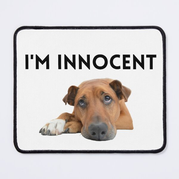 Item preview, I'm Innocent Dog meme designed and sold by Roy Store.