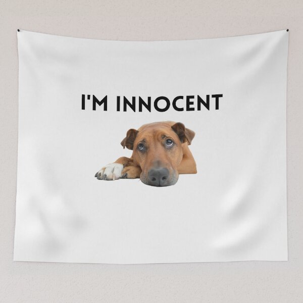Aperçu de l'œuvre Je suis un chien innocent meme créée et vendue par Roy Store.