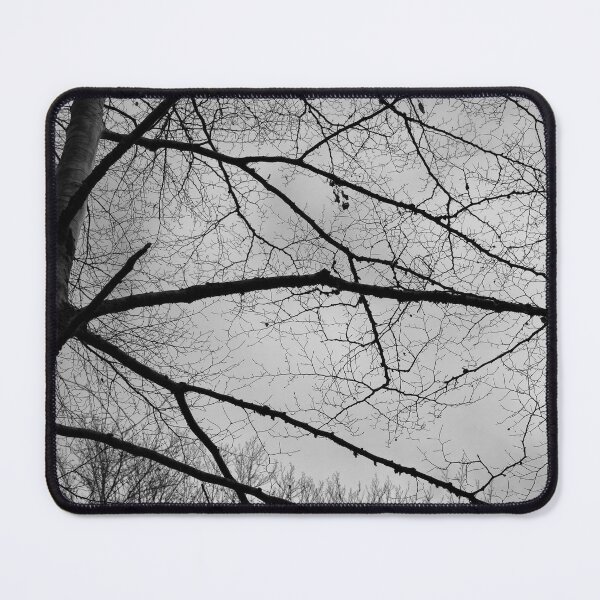 Item preview, Forest in autumn / 2 / designed and sold by joneagoitz.