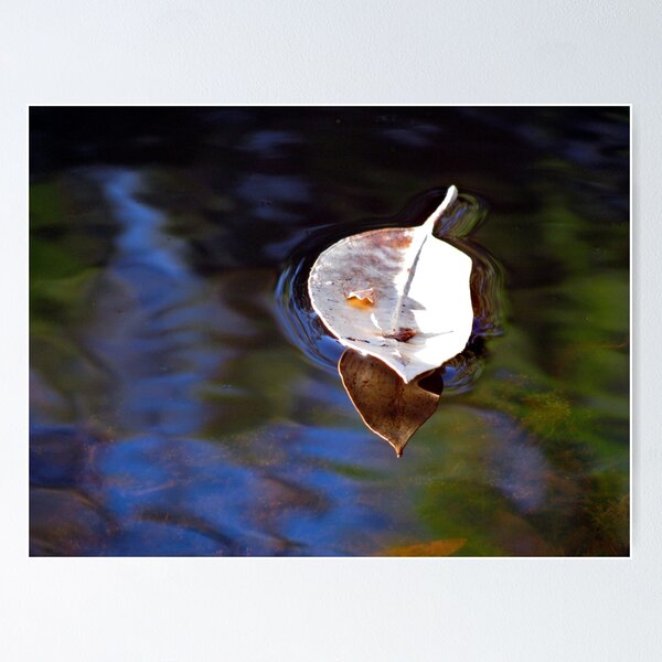 Item preview, floating leaf designed and sold by Zefira.