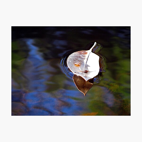 Item preview, floating leaf designed and sold by Zefira.