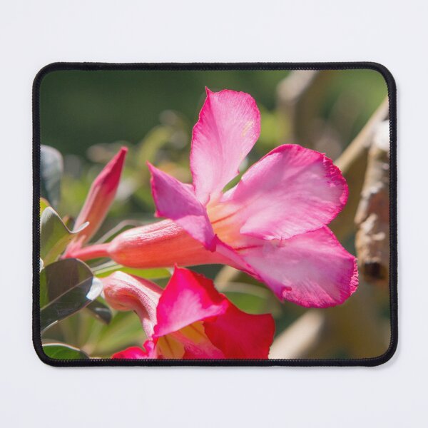 Item preview, Saigon Flora designed and sold by Dave Hare Photography.