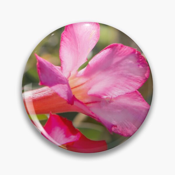 Item preview, Saigon Flora designed and sold by Dave Hare Photography.