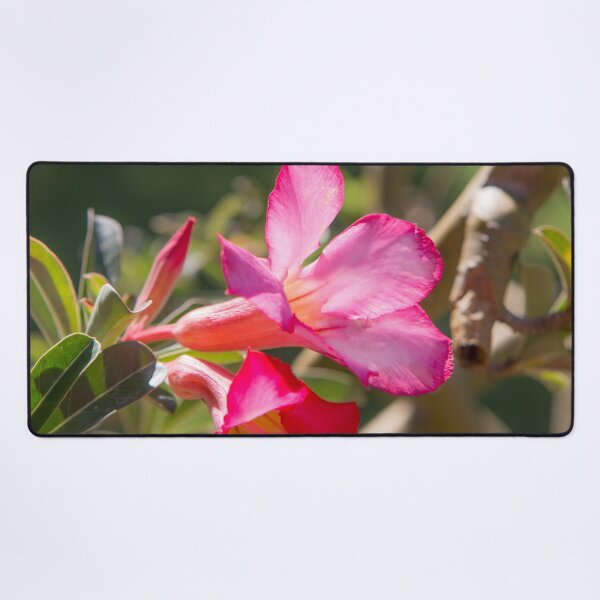 Item preview, Saigon Flora designed and sold by Dave Hare Photography.