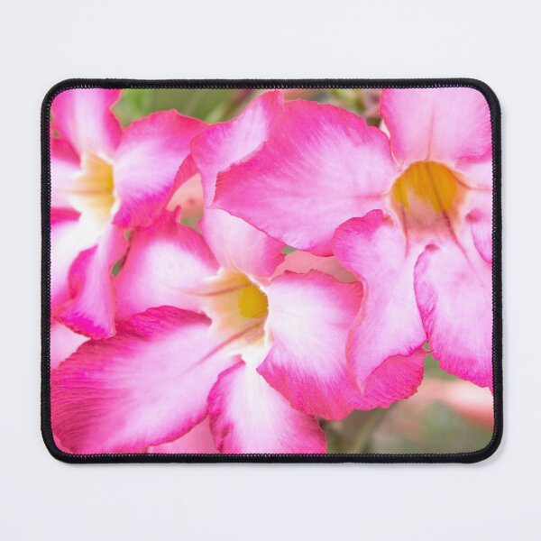 Item preview, Mekong Delta Flora designed and sold by Dave Hare Photography.