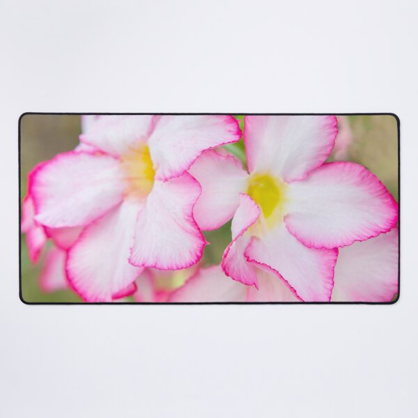 Item preview, Mekong Flora designed and sold by Dave Hare Photography.
