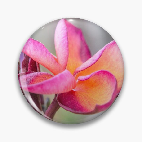 Artikelvorschau, Siem Reap Flora entworfen und verkauft von Dave Hare Photography.