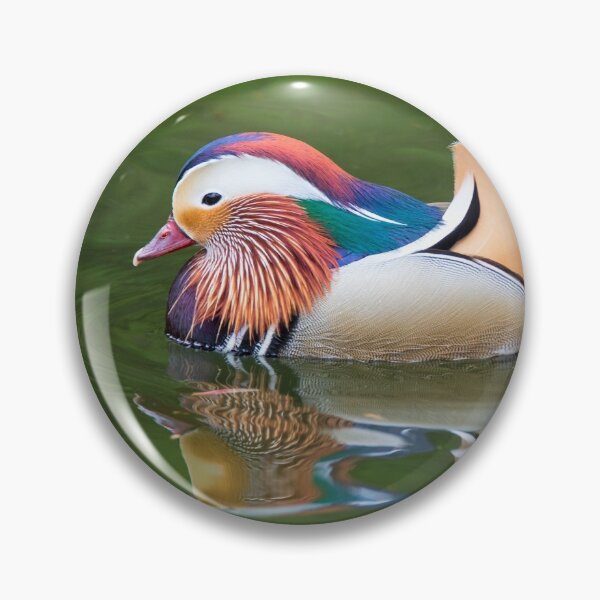 Artikelvorschau, Mandarin entworfen und verkauft von Dave Hare Photography.