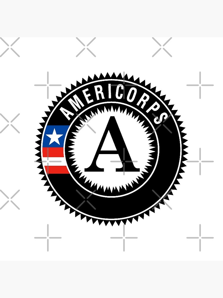 Disover americorps emblem Pin Button