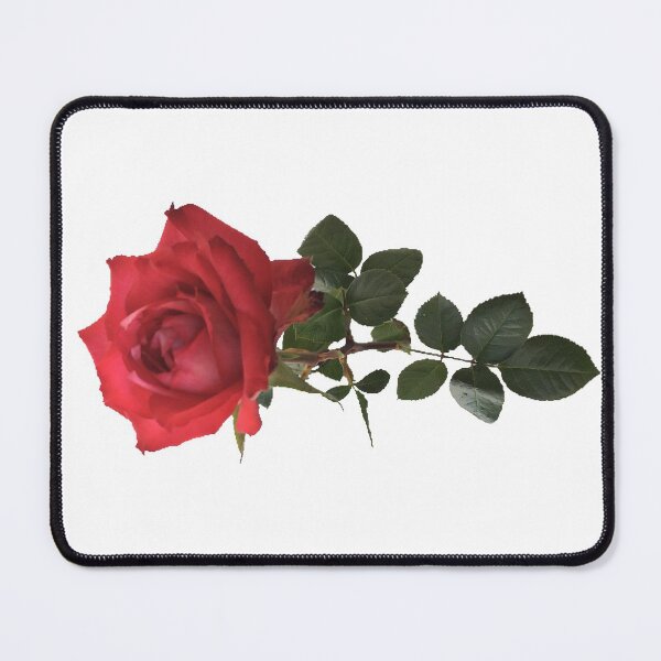 Item preview, Red Rose  designed and sold by Amanda1775.