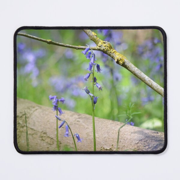 Item preview, Bluebell Macro Woodland designed and sold by Esther Hutchcroft.