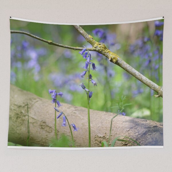 Item preview, Bluebell Macro Woodland designed and sold by Esther Hutchcroft.