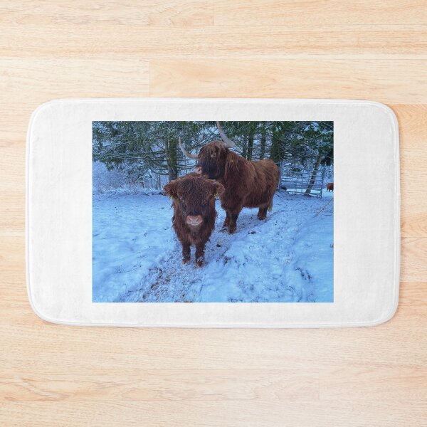 Item preview, Scottish Highland Cattle Calf and Cow in snow 2677 designed and sold by SaarelaHighland.