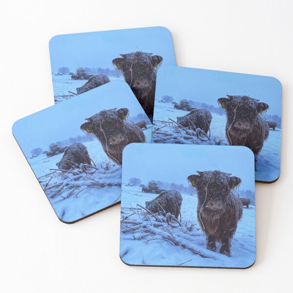 Item preview, Scottish Highland Cattle Calves in snow 2678 designed and sold by SaarelaHighland.
