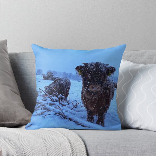 Artikelvorschau, Scottish Highland Cattle Calves in snow 2678 entworfen und verkauft von SaarelaHighland.