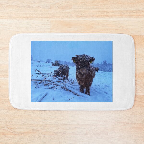 Item preview, Scottish Highland Cattle Calves in snow 2678 designed and sold by SaarelaHighland.