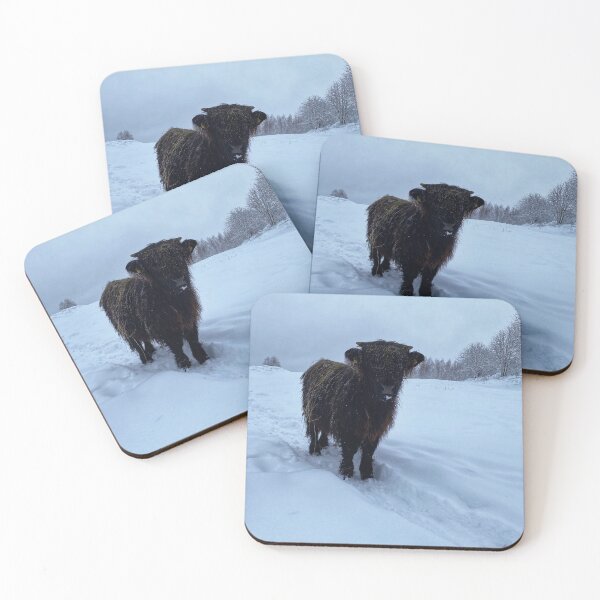 Item preview, Scottish Highland Cattle Calf in snow 2679 designed and sold by SaarelaHighland.