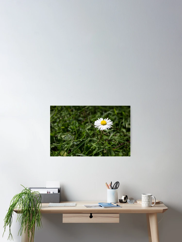 Thumbnail 2 of 3, Poster, Springtime glory designed and sold by davidprentice.