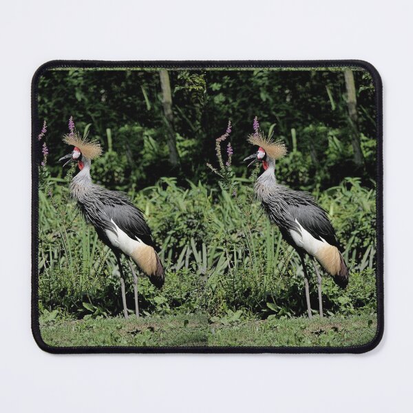 Item preview, r2463/ 17 parc-ornithologique-de-st-hilaire-la-palud - Grues couronnées -  2020 par Okaio Créations - Olavia&Olao designed and sold by o.okaïo.