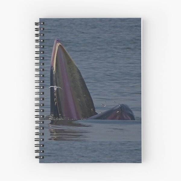 Item preview, THE FIGHT FOR ANCHOVY designed and sold by NICK COBURN PHILLIPS.