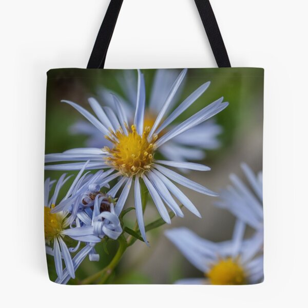 Item preview, New England Aster designed and sold by Rebecca Bryson.