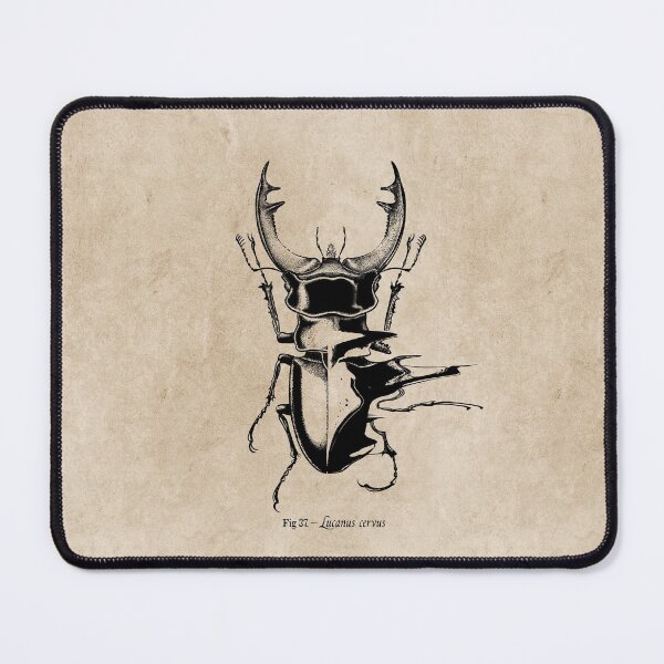 Item preview, Stag Beetle Vintage designed and sold by 7115.