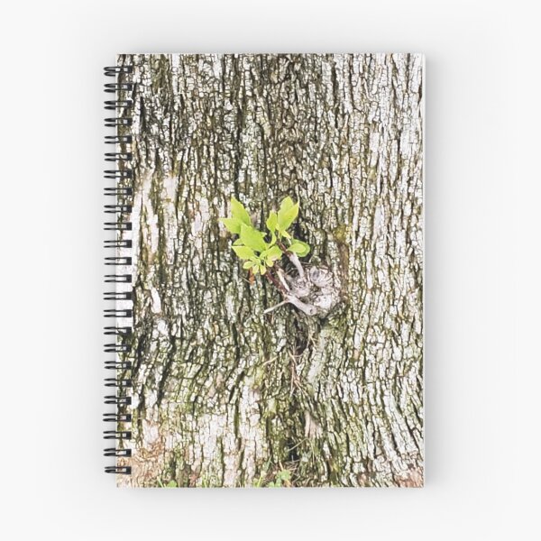 Item preview, Creación de la naturaleza designed and sold by CG64.