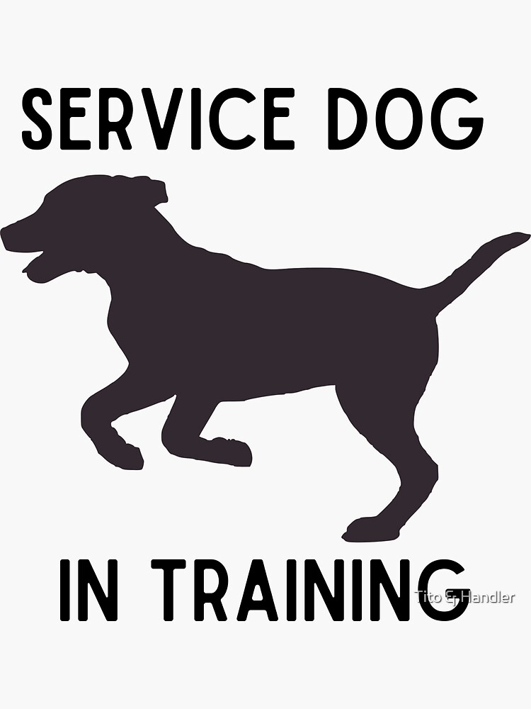 the-real-reason-you-can-t-pet-service-dogs-reader-s-digest