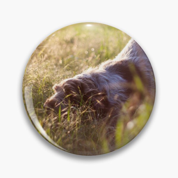 Item preview, Sunset stalking Spinone designed and sold by FOLK ART FUSION by heidiannemorris.