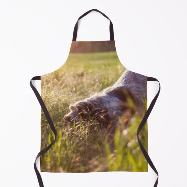 Item preview, Sunset stalking Spinone designed and sold by FOLK ART FUSION by heidiannemorris.