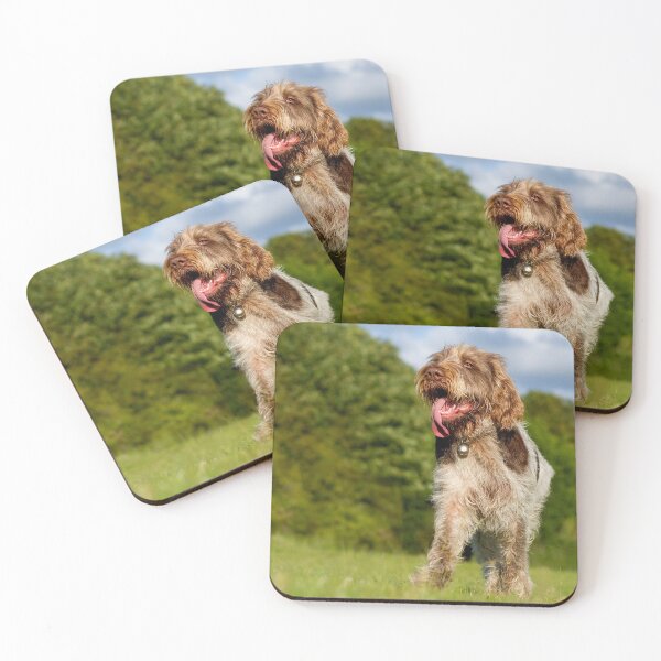 Item preview, Standing proud Spinone designed and sold by FOLK ART FUSION by heidiannemorris.