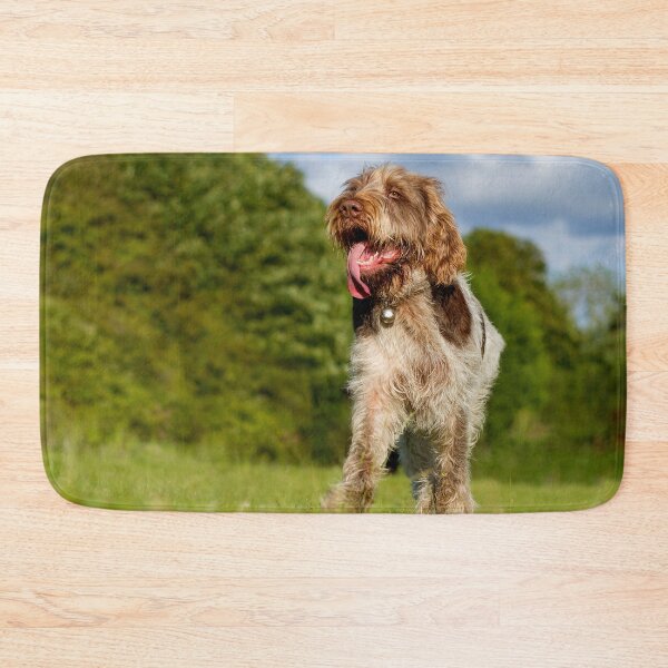 Item preview, Standing proud Spinone designed and sold by FOLK ART FUSION by heidiannemorris.