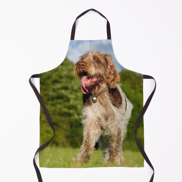 Item preview, Standing proud Spinone designed and sold by FOLK ART FUSION by heidiannemorris.
