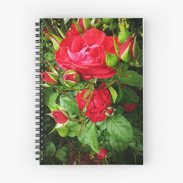 Item preview, *Kardinal (Framed by Buds) - Spring 2015 - My Garden* designed and sold by EdsMum.