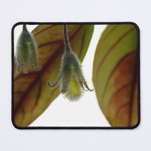 Item preview, Feuilles suspendues designed and sold by E-Maniak.