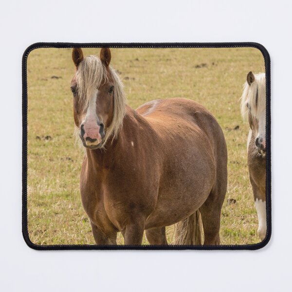 Item preview, The Herd designed and sold by Lisa Hands.