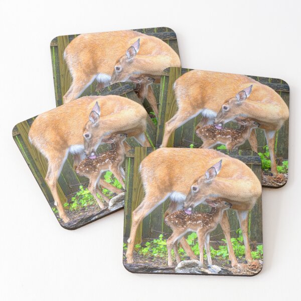 Item preview, White-tailed Deer, Doe Cleans Her New Fawn designed and sold by AMacGPhilly.