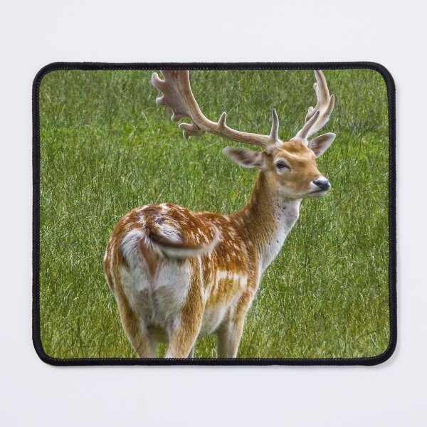 Item preview, The Stag designed and sold by Lisa Hands.