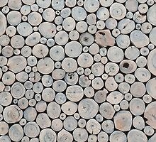    Art Land, Pebbles, Round Pieces, Mosaic by znamenski