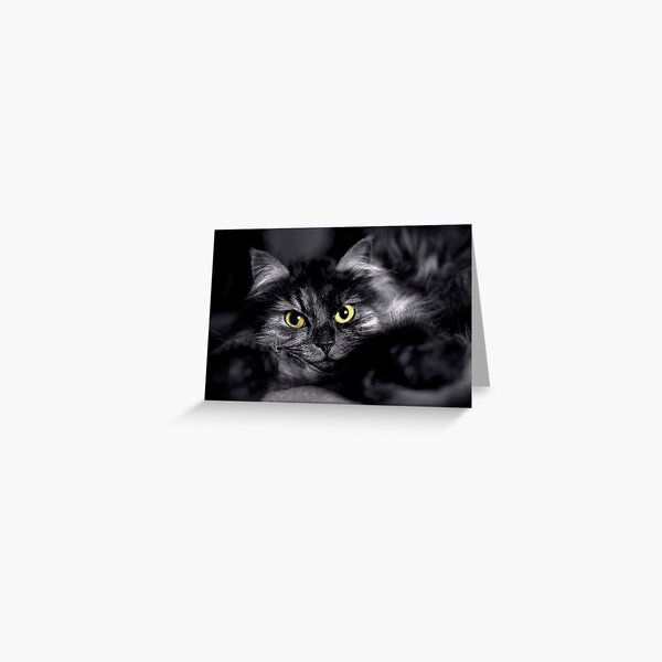 Cats Eyes Yellow Gifts u0026 Merchandise  Redbubble