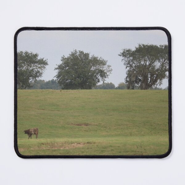 Item preview, Solitary Cow in the Field designed and sold by hardwork77.