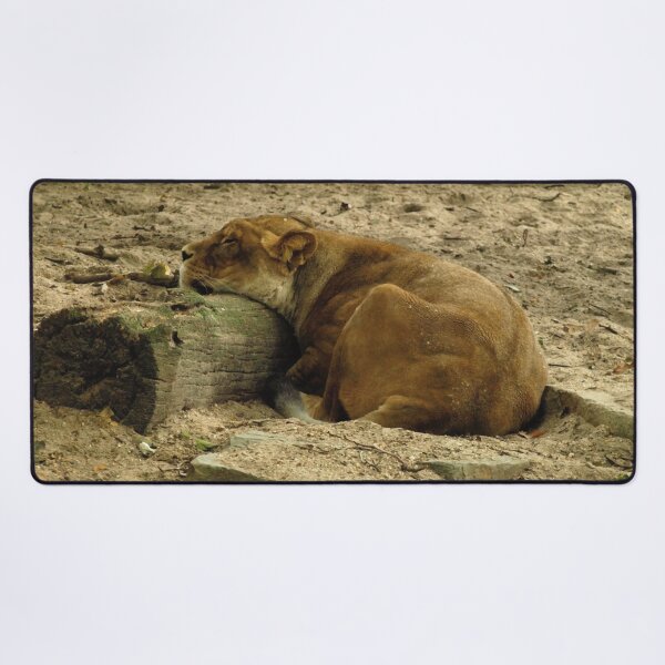 Item preview, Sleeping lioness designed and sold by E-Maniak.