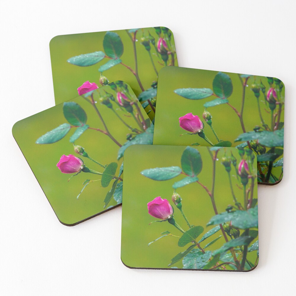 Item preview, Coasters (Set of 4) designed and sold by Ruthie33.