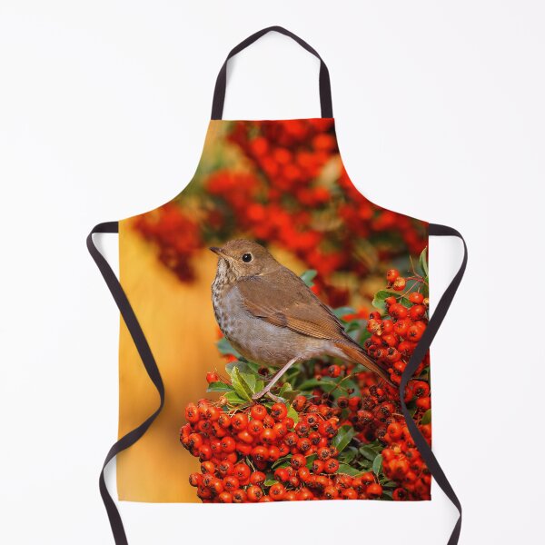 Item preview, Stunning Hermit Thrush Songbird Amid the Colors of Autumn designed and sold by walkswithnature.