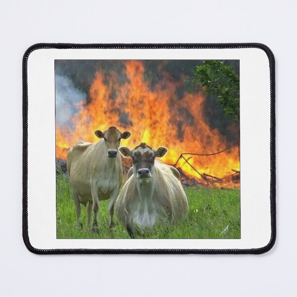 Item preview, Evil Cows designed and sold by Meme Economy.